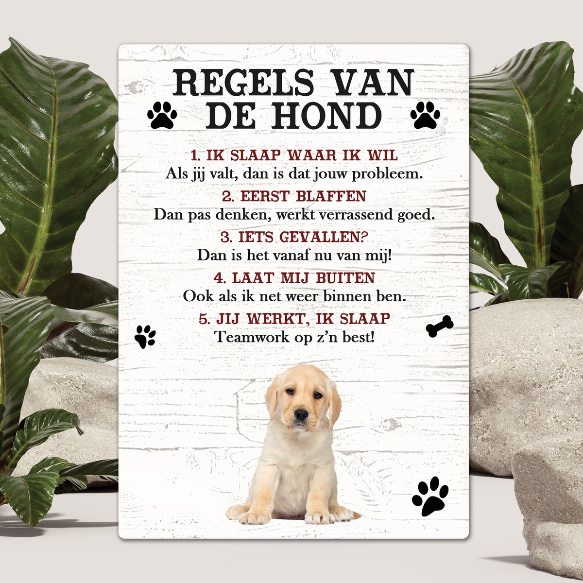 Spreuken - Labrador Pup - Regels Van De Hond - Spreuken Bordjes - Spreukenbord - Tekstborden - Cadeau - Hondenras