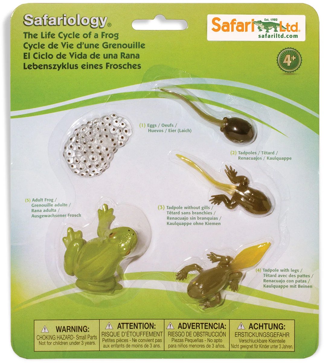 Speelfiguren Levenscyclus Kikker - Safari Ltd 5 stuks