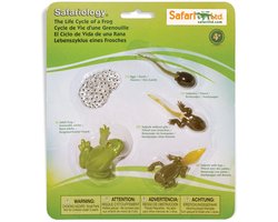 Speelfiguren Levenscyclus Kikker - Safari Ltd 5 stuks