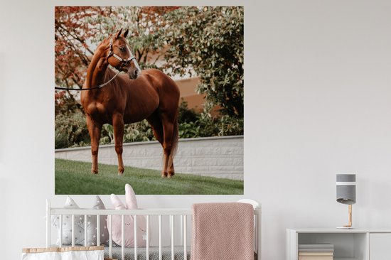 Stickers muraux - Cheval - Arbre - Licol - 120x120 cm - Feuille adhésive XXL