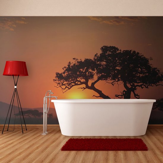 Papier peint photo - Afrique: coucher de soleil.