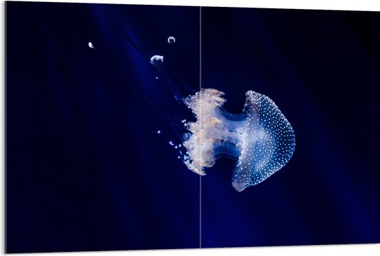 WallClassics - Acrylglas - Witte Kwal onder Blauw Water - 120x80 cm Foto op Acrylglas (Met Ophangsysteem)