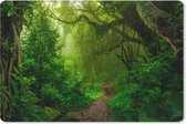 Sous-main 60x40 cm - Tapis de souris Paysage - Jungle - Tropical - Soleil - Vert - Sous-main XL - Protège-sous-main - Tapis de souris Ordinateur