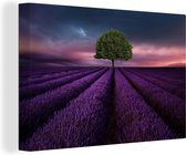 Arbre dans un champ de fleurs violettes Toile 30x20 cm - petit - Tirage photo sur toile (Décoration murale salon / chambre) / Peintures Fleurs sur toile