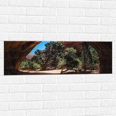 WallClassics - Muursticker - Troncs d'arbres dans une grotte avec une belle vue - 90x30 cm Photo sur Muursticker