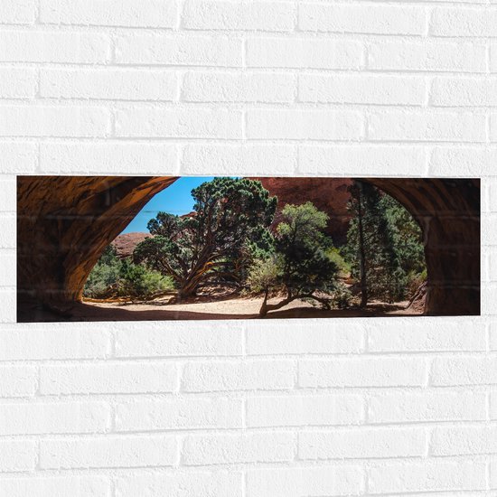 WallClassics - Muursticker - Boomstammen in een Grot met Prachtig Uitzicht - 90x30 cm Foto op Muursticker