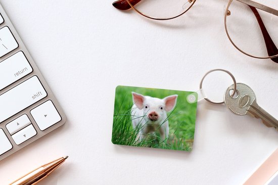 Porte-clés - Cochon - Animaux - Porcelet - Distribution de cadeaux - Plastique