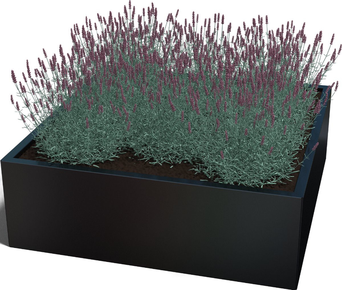 Gepoedercoat staal - plantenbak - Vierkant - 120x120x80cm - Antracietgrijs - Zonder bodem - MySteel