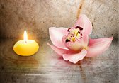 Fotobehangkoning - Behang - Vliesbehang - Fotobehang - Romantic evening - 250 x 175 cm