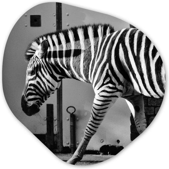 Organische Wanddecoratie - Kunststof Muurdecoratie- Organisch Schilderij - Zebra - Muur - Deur - Dieren - Zwart wit- 90x90 cm - Organische spiegel vorm op kunststof