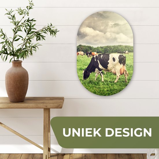 Ovale Mural - Décoration murale Plastique - Tableau Ovale - Vaches - Pâturage - Nature - Animaux - Paysage - 40x60 cm - Miroir ovale sur plastique