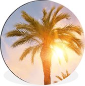 WallCircle - Wandcirkel - Muurcirkel - Palmboom - Zomer - Zon - Tropical - Aluminium - Dibond - ⌀ 120 cm - Binnen en Buiten XXL