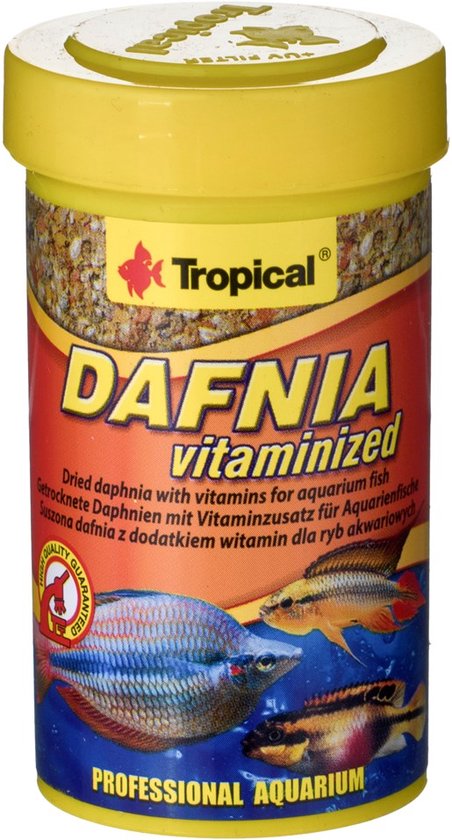 Aquarium Vissen: De Beste Zoetwater Vissen voor je Aquarium