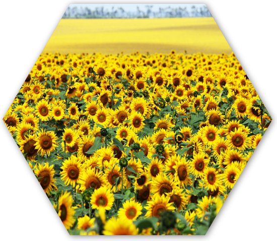 Podium Stade Futuriste Hi Tech Science Fiction Générative Ai