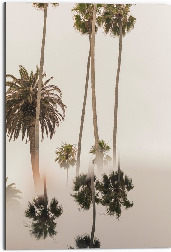 WallClassics - Dibond - Smalle Palmbomen met Weerspiegeling - 50x75 cm Foto op Aluminium (Wanddecoratie van metaal)