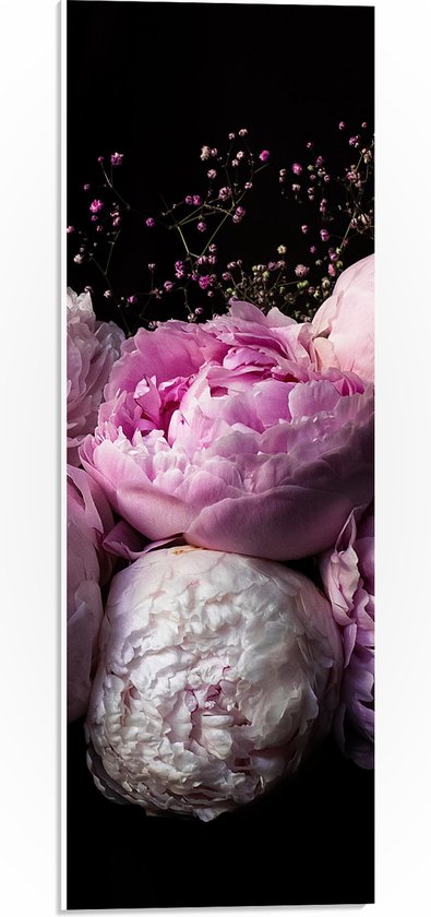 WallClassics - PVC Schuimplaat- Roze/Paarse Bloemen tegen Zwarte Achtergrond - 20x60 cm Foto op PVC Schuimplaat