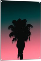 WallClassics - Tuinposter – Silhouet van Palmboom bij Blauw/Roze Lucht - 80x120 cm Foto op Tuinposter  (wanddecoratie voor buiten en binnen)