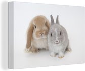 Deux lapins Toile 60x40 cm - Tirage photo sur toile (Décoration murale salon / chambre) / Peintures sur toile Animaux
