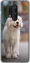 Geschikt voor OnePlus 8 Pro hoesje - Een Golden Retriever puppy lopend op de stoep - Siliconen Telefoonhoesje