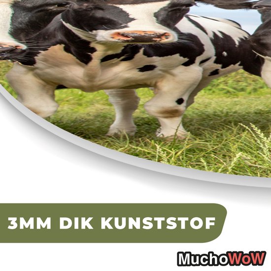 Wall Oval - Décoration murale Plastique - Tableau Ovale - Vaches - Pâturage - Campagne - Nature - Herbe - 80x120 cm - Miroir ovale sur plastique