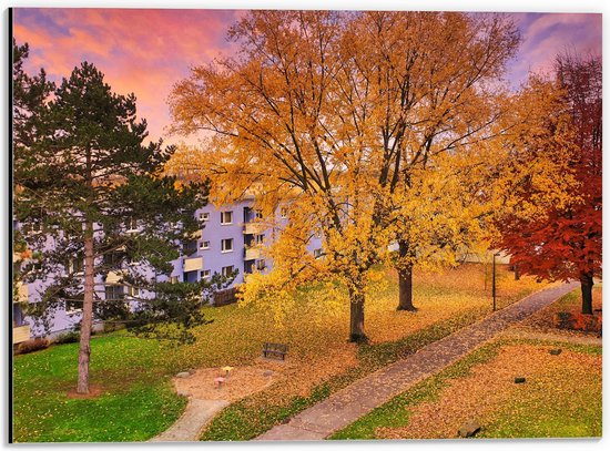 WallClassics - Dibond - Herfstbomen in Dorpje - 40x30 cm Foto op Aluminium (Met Ophangsysteem)