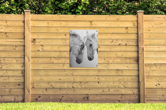 Tableau jardin Cheval - Animaux - Portrait - Wit - 60x80 cm - Affiche jardin - Toile jardin - Affiche extérieur