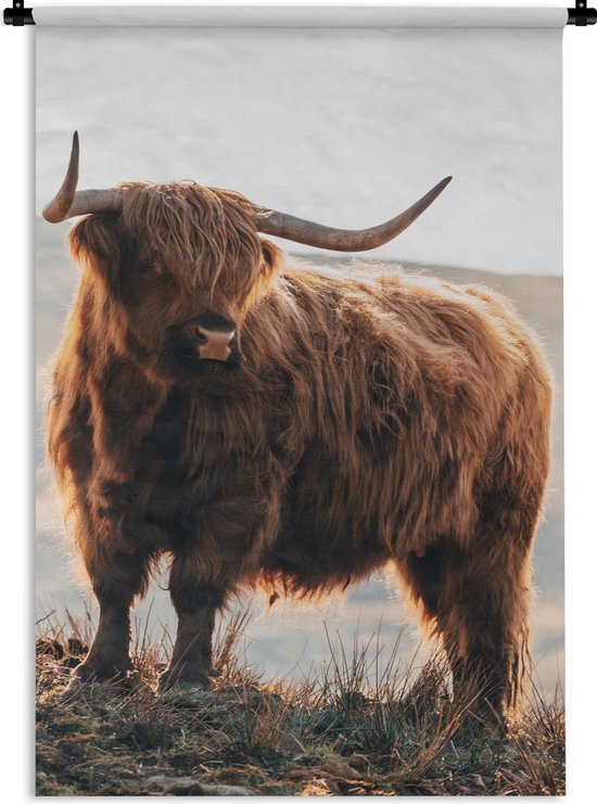 Tapisserie - Tapisserie - Highlander écossais - Animaux - Rural - Paysage - Vache - Nature - 90x135 cm - Tapisserie