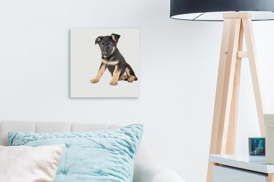 Assis sur toile de chiot berger allemand 2cm 20x20 cm - petit - Tirage photo sur toile (Décoration murale salon / chambre) / Peintures sur toile pour Animaux domestiques