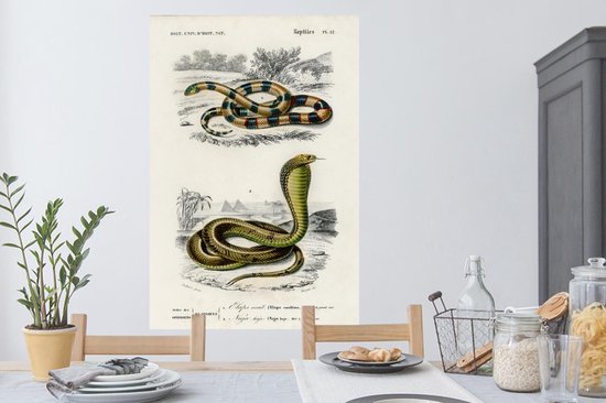 Stickers muraux - Serpent - Vintage - Reptiles - 80x120 cm - Film Adhésif