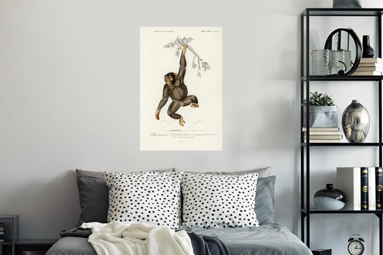 Stickers muraux - Singe - Vintage - Branche - 40x60 cm - Film Adhésif
