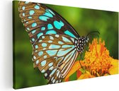 Artaza - Peinture sur toile - Papillon bleu avec une Bloem' Oranje - 120 x 60 - Groot - Photo sur toile - Impression sur toile