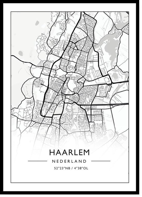 Haarlem Poster Stadsposter Plattegrond Citymap 50x70cm