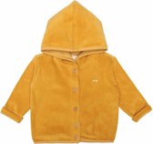 Moodstreet Petit Trui baby gold maat 50/56