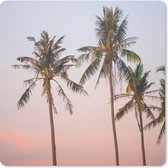 Muismat Klein - Tropisch - Palmbomen - Zonsondergang - 20x20 cm