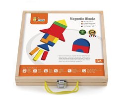 Vigatoys Magnetische Vormen