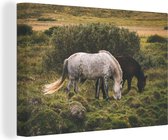 Canvas Schilderij Paarden - Gras - Struik - 120x80 cm - Wanddecoratie