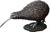 Wilde Dieren Kiwi