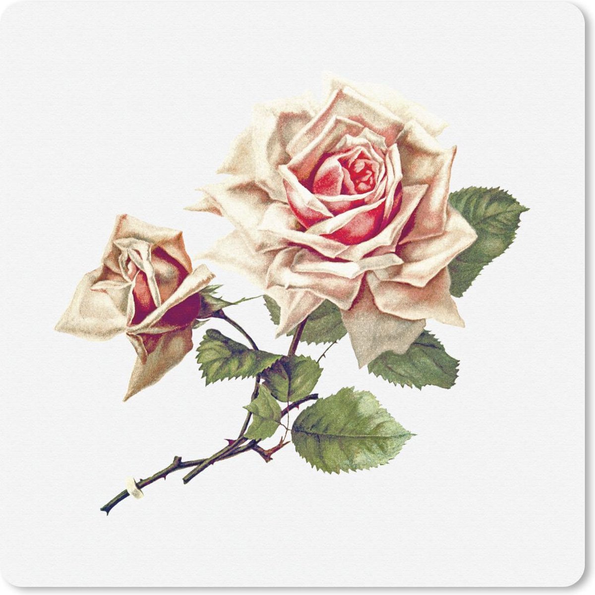 Muismat 30x30 cm - Mousepad Vintage - Rozen - Bloemen - Muismatten