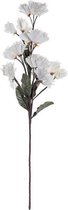 Decoratieve Bloem DKD Home Decor EVA (Ethyleenvinylacetaat)