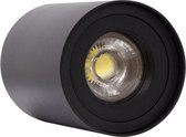 Plafondapplicatie LED Ledkia Zwart 50 W (Ø80x110 mm) (Ø 80 x 110 mm)