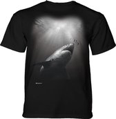 T-shirt Sunburst Shark KIDS M
