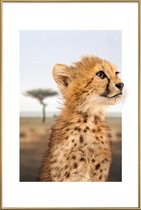 JUNIQE - Poster met kunststof lijst CHEETAH CUB -13x18 /Bruin & Oranje