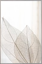 JUNIQE - Poster met kunststof lijst Skeleton Leaves -30x45 /Ivoor