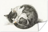 Affiche Chat endormi lové - peinture de Jean Bernard - 60x40 cm