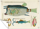 Décoration murale' extérieur Vintage - Design - Poisson - 160x120 cm - Toile de jardin