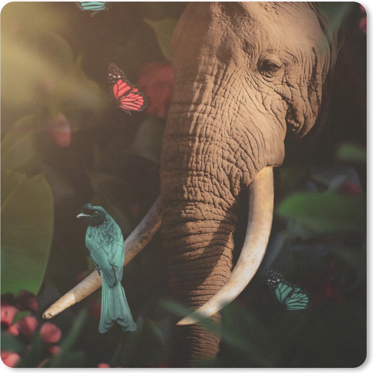 Muismat 30x30 cm - Mousepad Dieren - Vogel - Olifant - Jungle - Muismatten