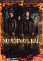 Supernatural - Seizoen 12 (DVD)