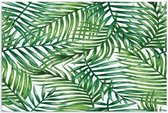 Schilderij Palm bladeren, 4 maten, groen-wit
