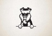 Kerry Blue Terrier - hond met pootjes - M - 63x60cm - Zwart - wanddecoratie