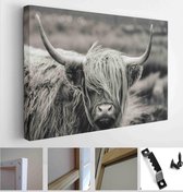 Scottish Highland cattle - Modern Art Canvas - Horizontal - 753541153 - 50*40 Horizontal